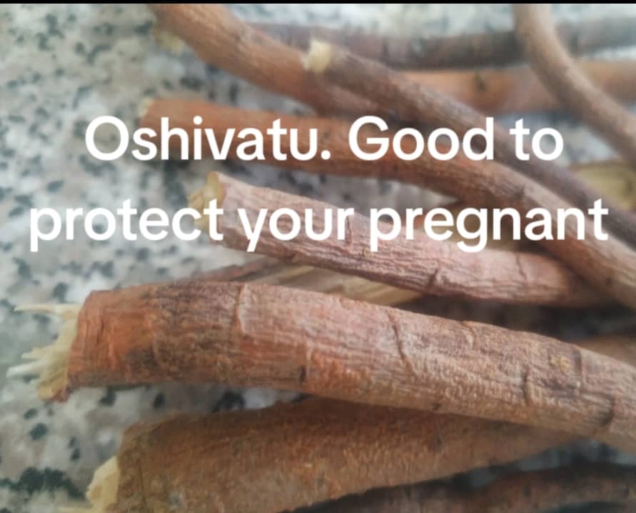 Oshivatu Root Bark